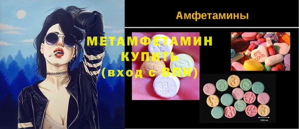 метадон Богданович