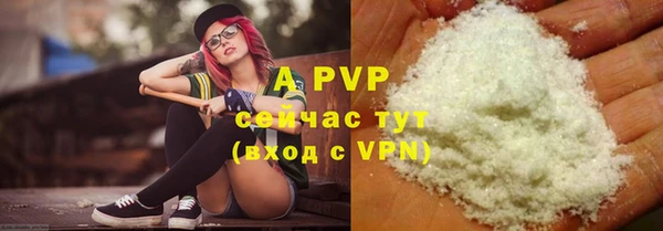метадон Богданович