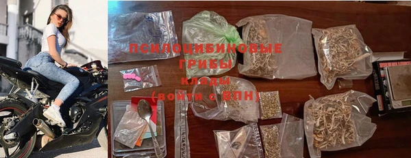 эйфоретик Богородицк