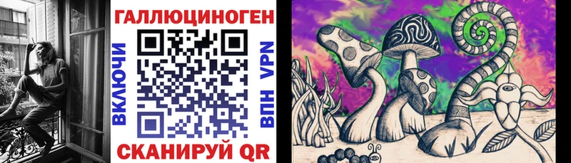 это состав  hydra ССЫЛКА  Кузнецк  Галлюциногенные грибы мицелий 