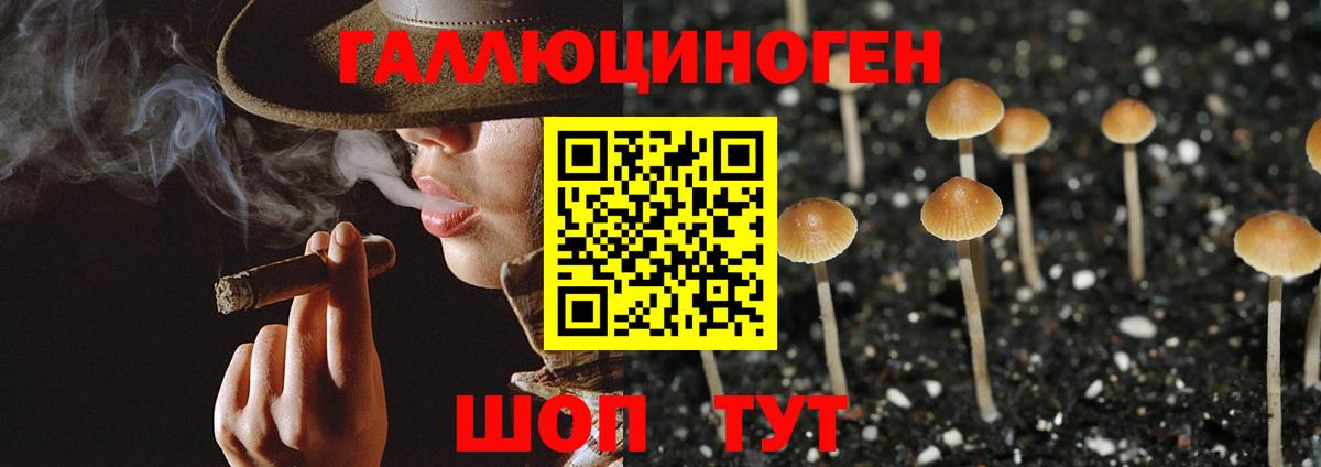 Псилоцибиновые грибы прущие грибы  продажа наркотиков  Кузнецк  Вход с VPN 